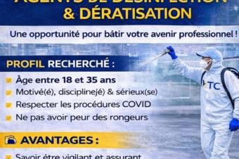 OFFRE DEMPLOIS